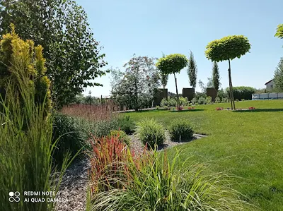 PROJEKT OGRÓD Projektowanie ogrodów - usługi ogrodnicze - Gniezno